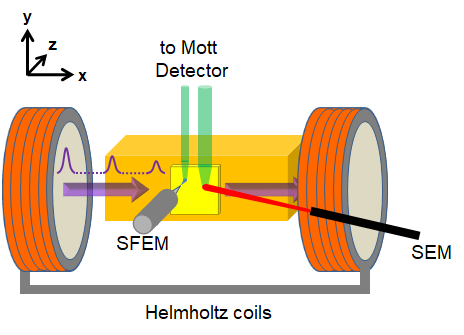 Enlarged view: <i>Figure 6:</i> SFEMPA and SEMPA: The Helmholtz Coils ( orange ) provides the pulsed B-Field in x-direction. The primary beam is emitted from the SFEM-Tip (grey) or the SEM (black/ red). The secondary electrons (green) are directed into a Mott detector. &nbsp;