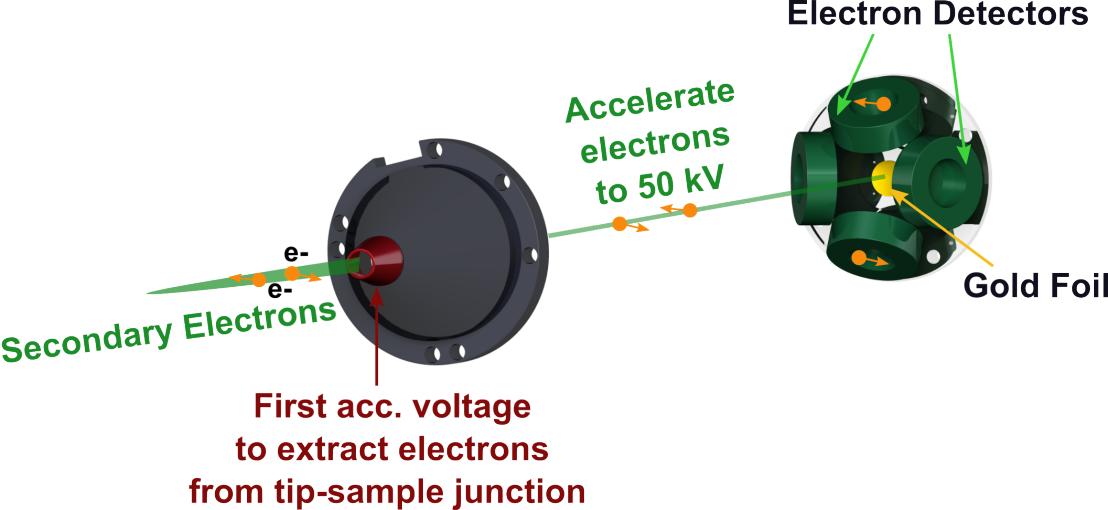 Enlarged view: <i>Figure 7:</i> Secondary electrons are extracted by an acceleration voltage (red), the electrobeam is focused and reaches a gold foil in the Mott Core. At the gold foil the eletrons are deflected according to their spin in one of the four detectors.